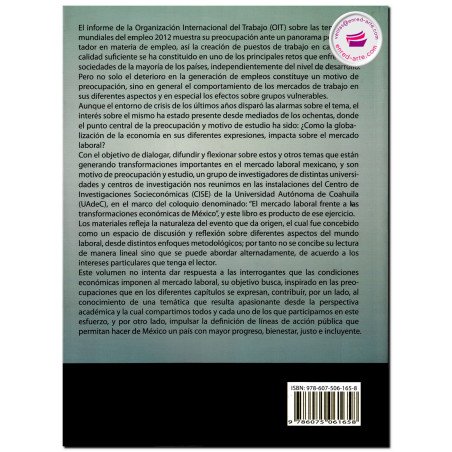 EL MERCADO LABORAL FRENTE A LAS TRANSFORMACIONES ECONÓMICAS EN MÉXICO, David Castro Lugo