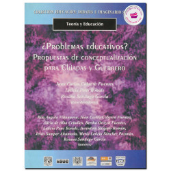 ¿PROBLEMAS EDUCATIVOS?, Propuestas de conceptualización para Chiapas y Guerrero, Rita Angulo Villanueva