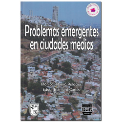 PROBLEMAS EMERGENTES EN CIUDADES MEDIAS, Mónica Ribeiro Palacios