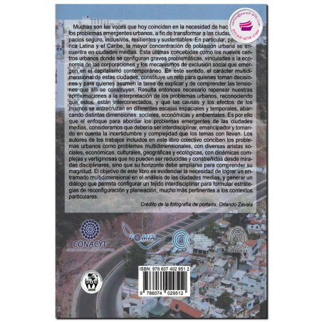 PROBLEMAS EMERGENTES EN CIUDADES MEDIAS, Mónica Ribeiro Palacios