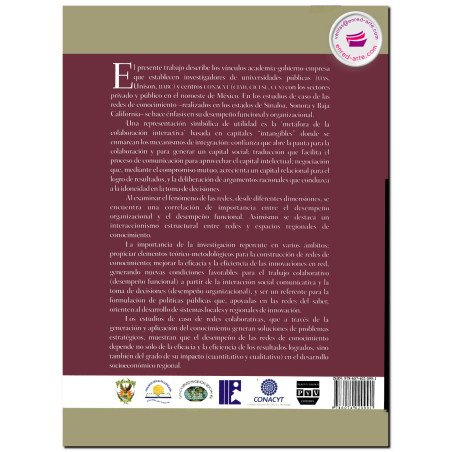 REDES DE CONOCIMIENTO Y SU DESEMPEÑO, José de Jesús Lara Ruíz