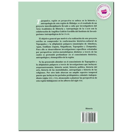 TEPEAPULCO, Región en perspectiva, Manuel Alberto Morales Damián