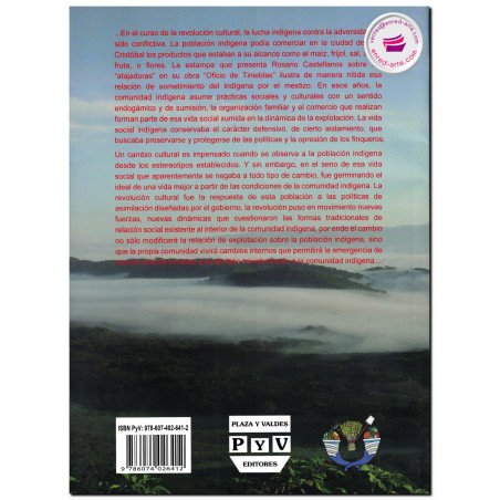 TERRITORIO Y APROPIACIÓN DEL ESPACIO SOCIAL EN LAS TIERRAS INDIAS DE CHIAPAS, Luis Llanos Hernández