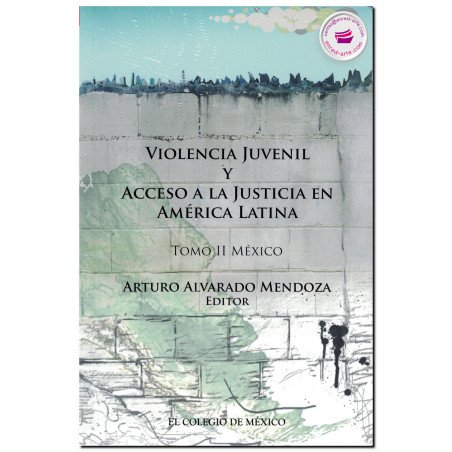 VIOLENCIA JUVENIL Y ACCESO A LA JUSTICIA EN AMÉRICA II, Arturo Alvarado Mendoza