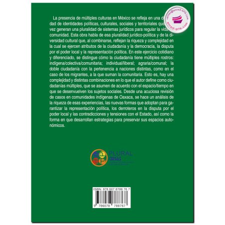 Los múltiples rostros de la ciudadanía, Multiculturalidad, representación política y poder local, Victor Leonel Juan Martínez