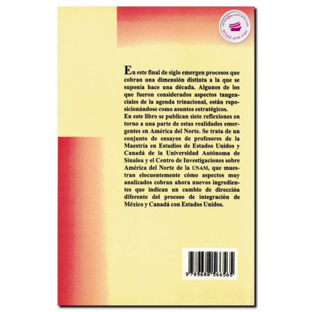 REALIDADES EMERGENTES EN AMÉRICA DEL NORTE, Ana Luz Ruelas