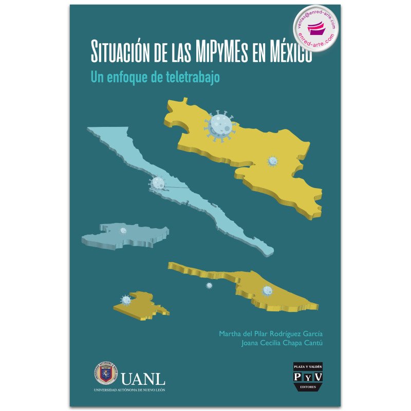 Situación de las MiPyMEs en México, Un enfoque de teletrabajo