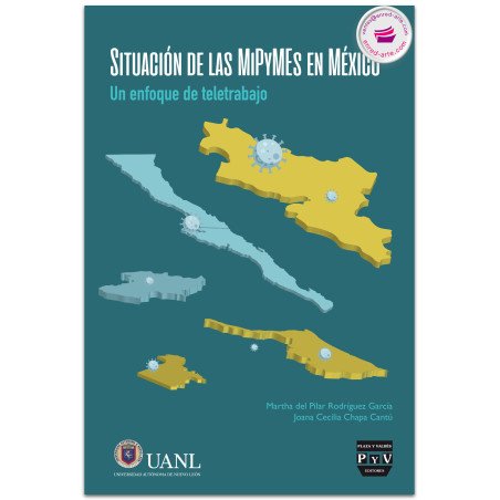 Situación de las MiPyMEs en México, Un enfoque de teletrabajo