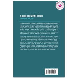 Situación de las MiPyMEs en México, Un enfoque de teletrabajo