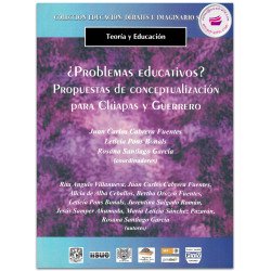 ¿PROBLEMAS EDUCATIVOS?, Propuestas de conceptualización para Chiapas y Guerrero, Rita Angulo Villanueva