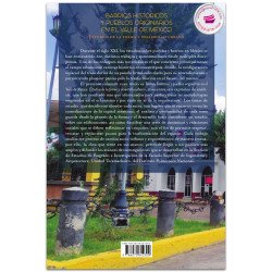 Barrios históricos y pueblos originarios en el valle de México. Estudios de la forma y desarrollo urbano