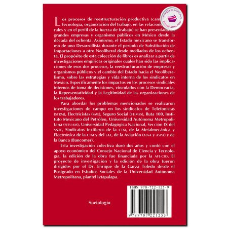DEMOCRACIA SINDICAL EN EL SECTOR BANCARIO, Vol. IX, José Alfonso Bouzas Ortíz