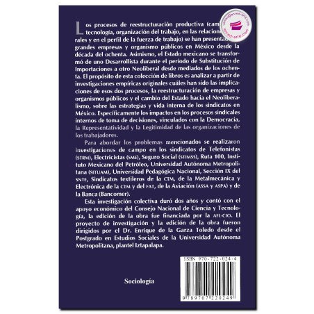 DEMOCRACIA Y LEGITIMIDAD EN LOS SINDICATOS DE LA AVIACIÓN, Reestructuración empresarial, Vol. II, Marco A. Leyva Piña