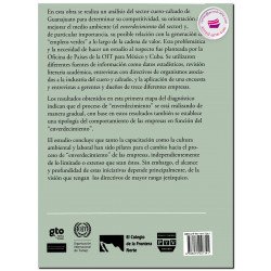 DESARROLLO PRODUCTIVO Y EMPLEOS VERDES, Adriana Martínez Martínez