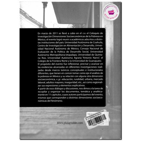 DIMENSIONES SOCIOECONÓMICAS DE LA POBREZA EN MÉXICO, Gustavo Felix Verduzco